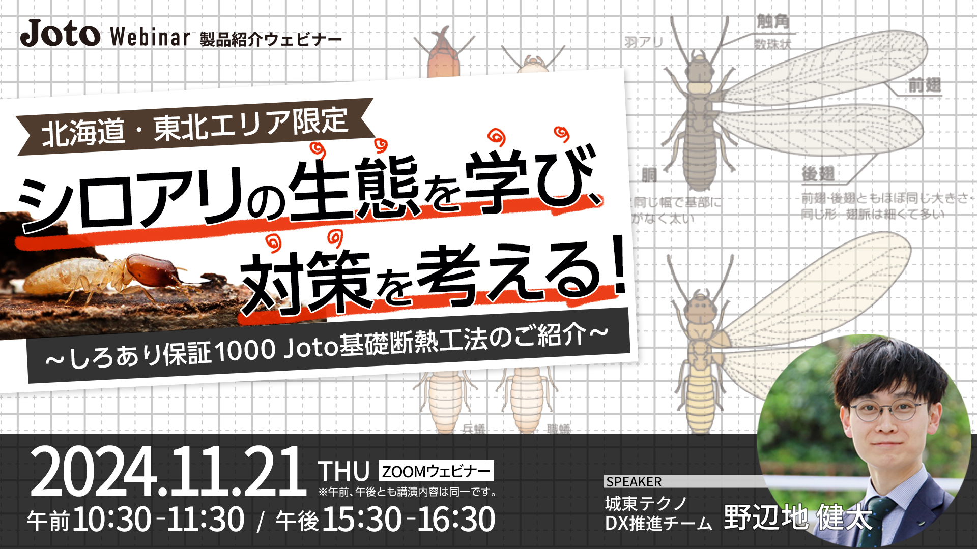 ＜北海道・東北エリア限定＞シロアリの生態を学び、対策を考える ～しろあり保証1000 Joto基礎断熱工法のご紹介～